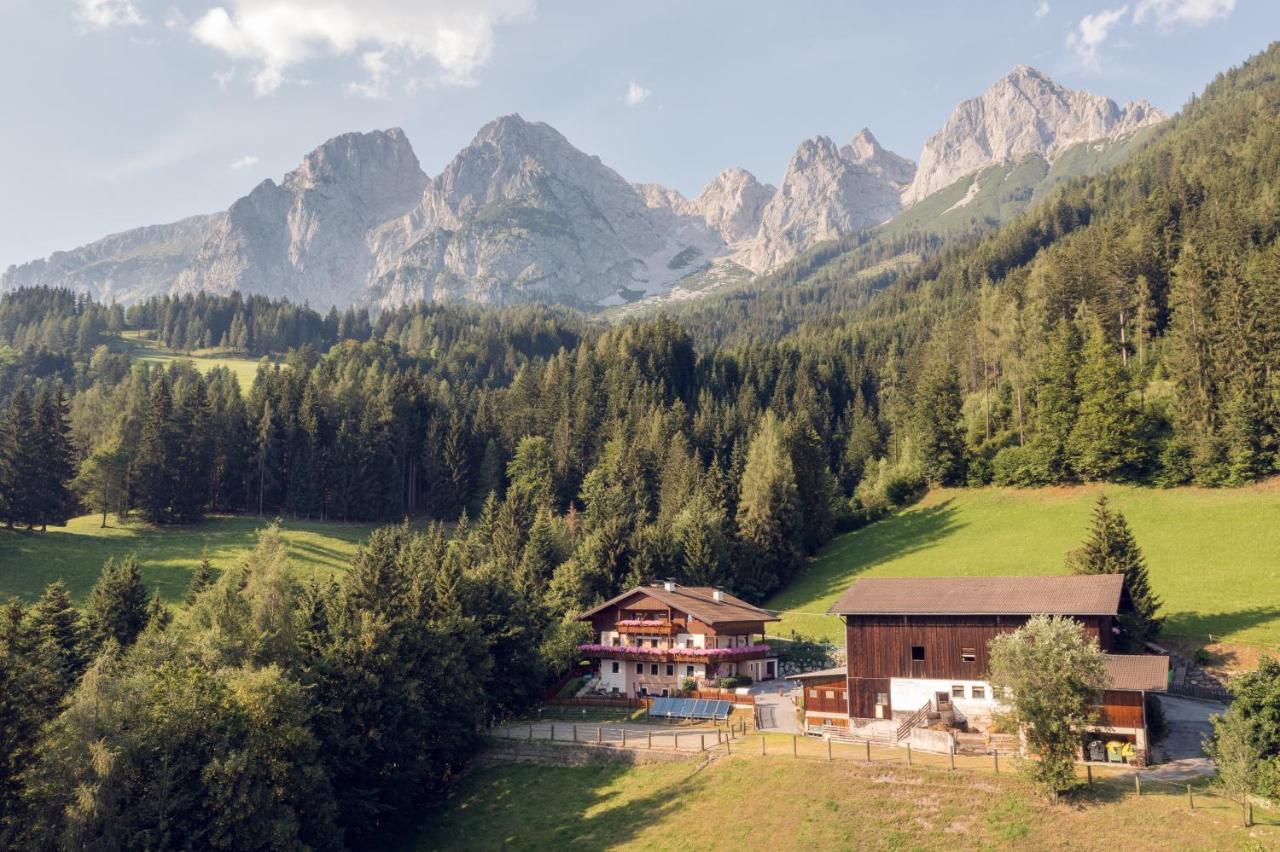 Apartamento Familienbauernhof Samerhof Pfarrwerfen Exterior foto