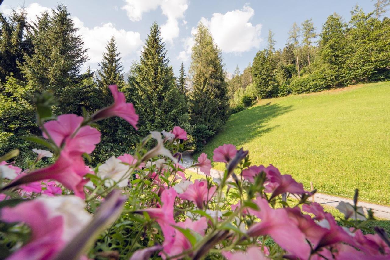 Apartamento Familienbauernhof Samerhof Pfarrwerfen Exterior foto