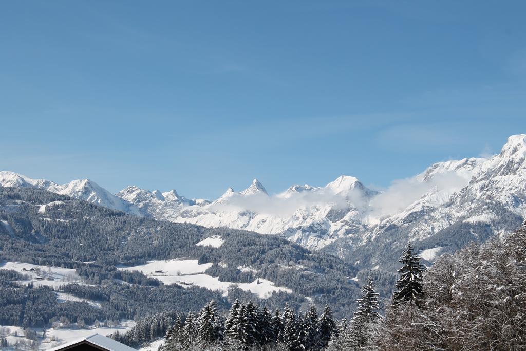 Apartamento Familienbauernhof Samerhof Pfarrwerfen Exterior foto